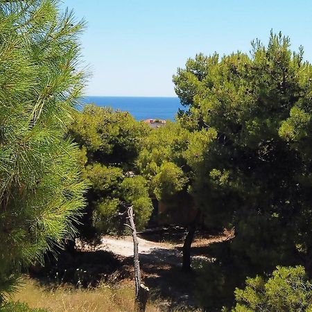 Fistiki Rooms Agia Marina  Exteriér fotografie