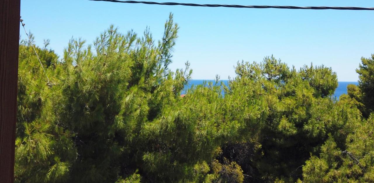 Fistiki Rooms Agia Marina  Exteriér fotografie