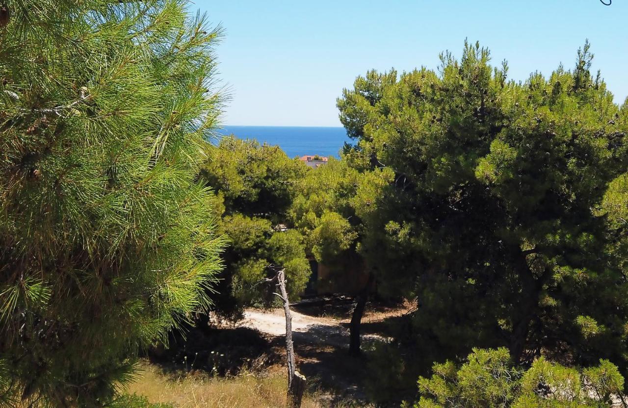 Fistiki Rooms Agia Marina  Exteriér fotografie